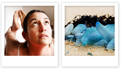 paula cauduro blue bottle