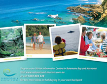 brochure design